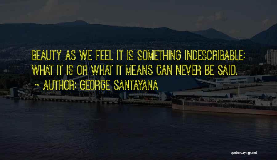 Indescribable Quotes By George Santayana