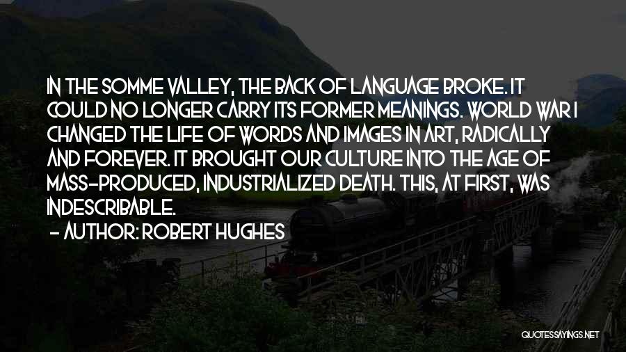 Indescribable Quotes By Robert Hughes