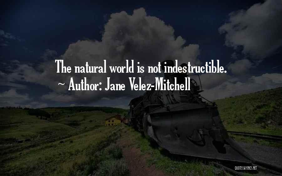 Indestructible Quotes By Jane Velez-Mitchell