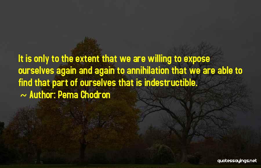 Indestructible Quotes By Pema Chodron