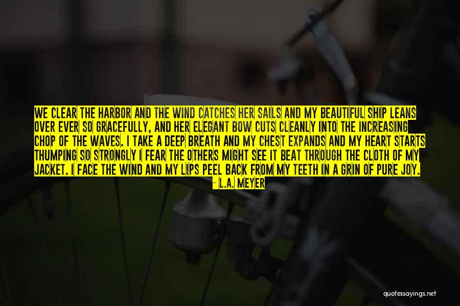 Indestructible Shoes Quotes By L.A. Meyer Indestructible Shoes Quotes By L.A. Meyer
