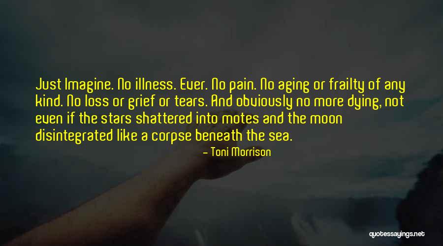 Indexes In Oracle Quotes By Toni Morrison Indexes In Oracle Quotes By Toni Morrison