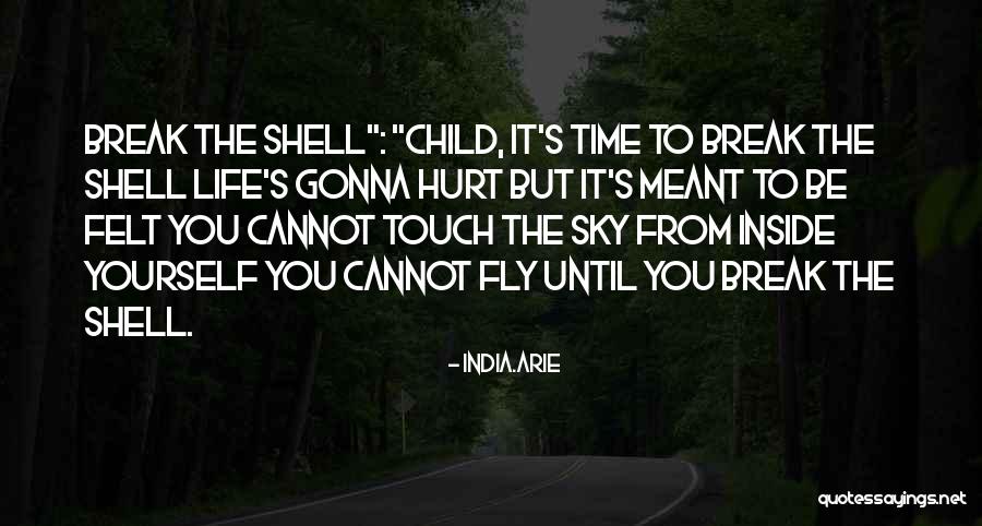 India.Arie Quotes 1647742 India.Arie Quotes 1647742
