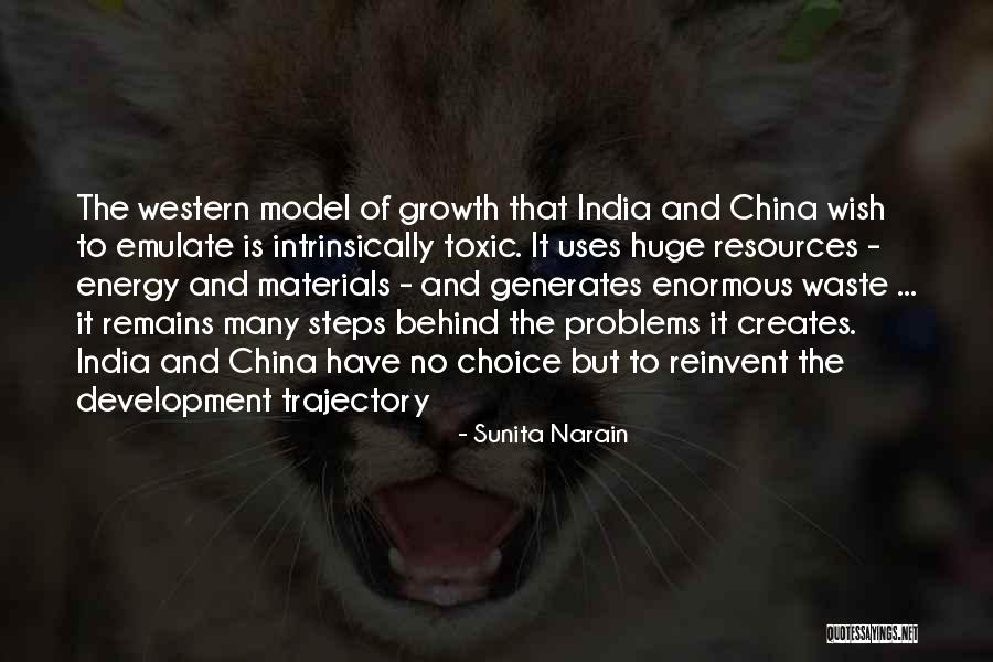 India Development Quotes By Sunita Narain