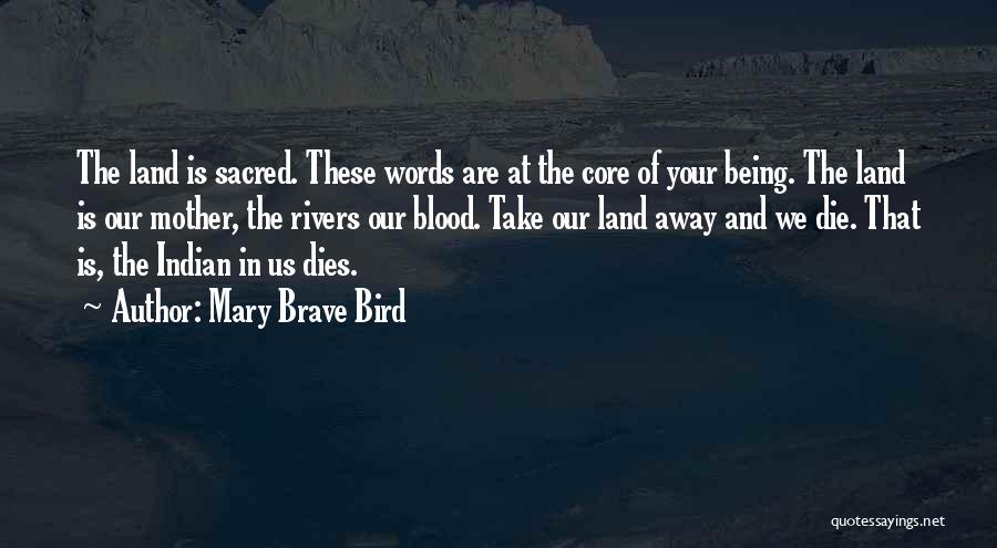 Indian American Quotes By Mary Brave Bird