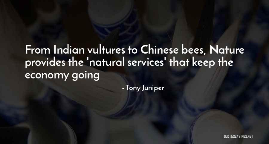 Indian Economy Quotes By Tony Juniper