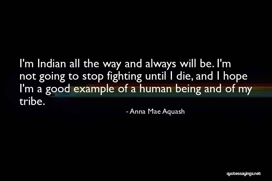 Indian Tribes Quotes By Anna Mae Aquash