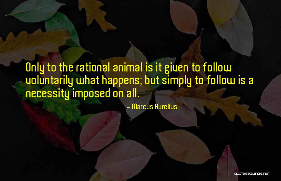 Indianapolis Auto Insurance Quotes By Marcus Aurelius Indianapolis Auto Insurance Quotes By Marcus Aurelius
