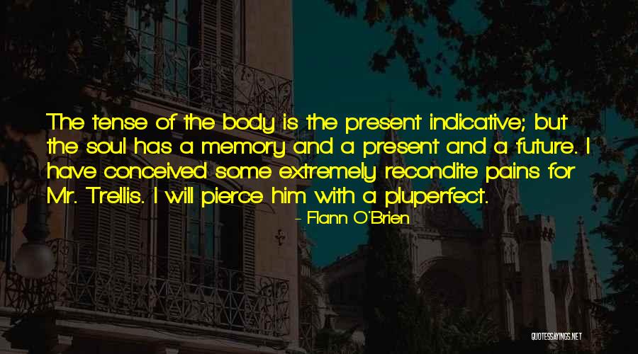 Indicative Tense Quotes By Flann O'Brien Indicative Tense Quotes By Flann O'Brien