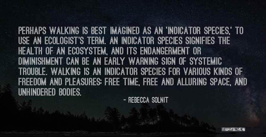 Indicator Quotes By Rebecca Solnit Indicator Quotes By Rebecca Solnit