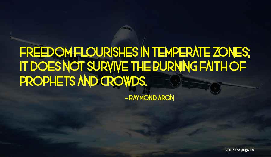 Indichini Quotes By Raymond Aron Indichini Quotes By Raymond Aron