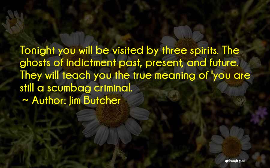 Indictment Quotes By Jim Butcher