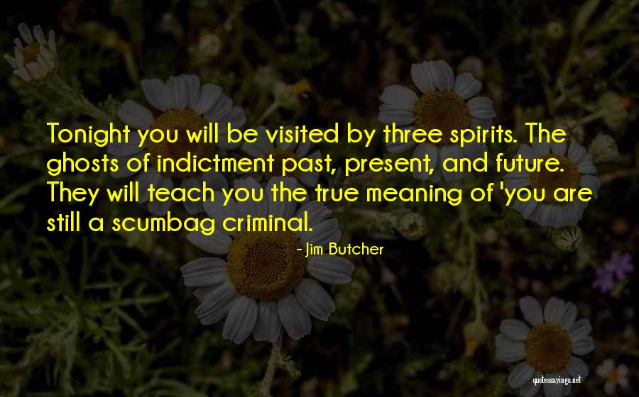 Indictment Quotes By Jim Butcher Indictment Quotes By Jim Butcher