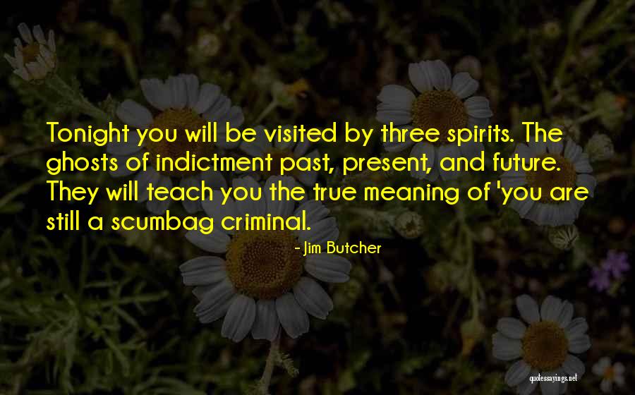 Indictment Quotes By Jim Butcher