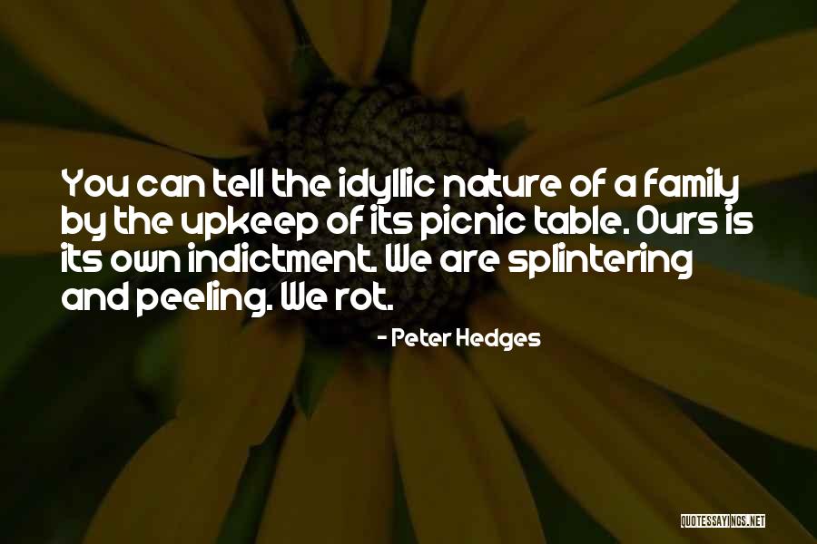 Indictment Quotes By Peter Hedges