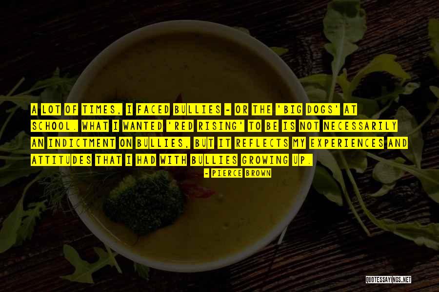Indictment Quotes By Pierce Brown Indictment Quotes By Pierce Brown
