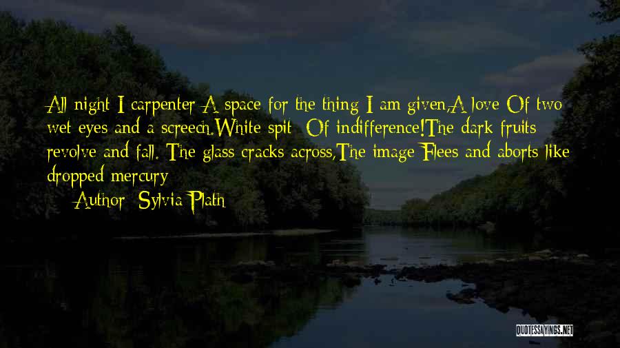Indifference In Night Quotes By Sylvia Plath