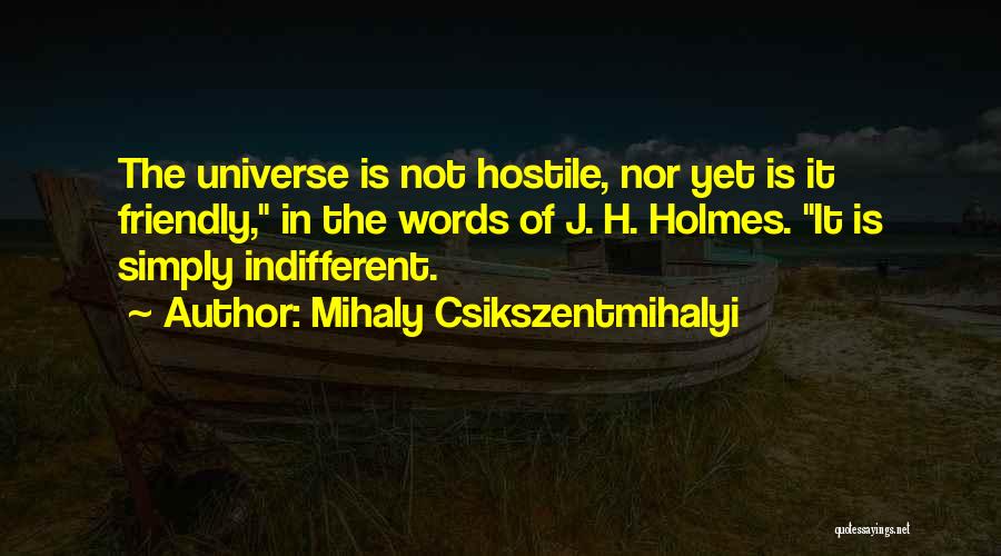 Indifferent Quotes By Mihaly Csikszentmihalyi