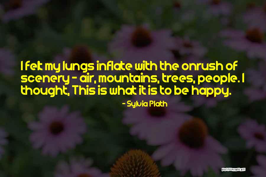 Indifferentiecurve Quotes By Sylvia Plath Indifferentiecurve Quotes By Sylvia Plath