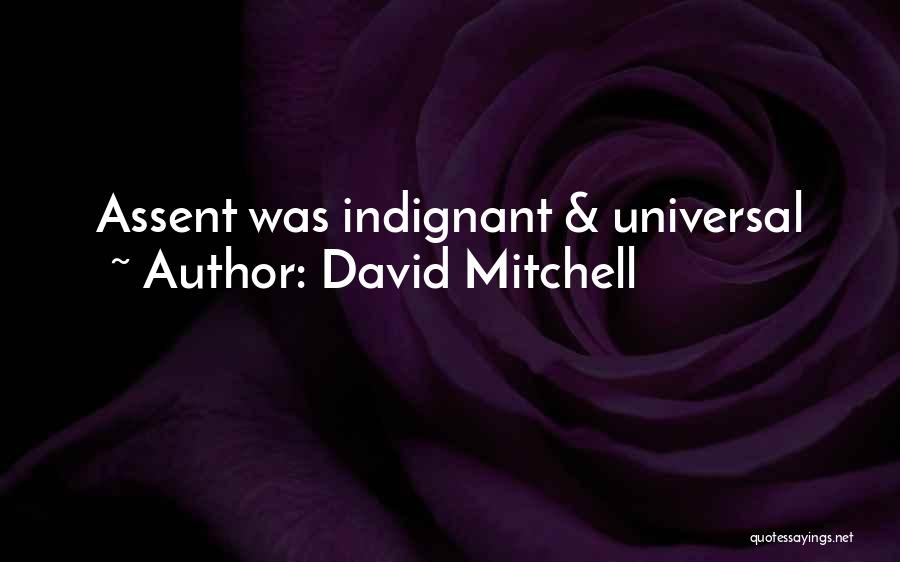 Indignant Quotes By David Mitchell