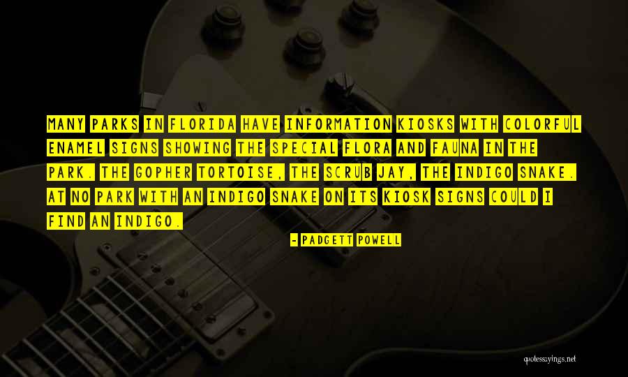 Indigo Inc Quotes By Padgett Powell Indigo Inc Quotes By Padgett Powell
