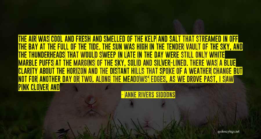 Indigo Quotes By Anne Rivers Siddons