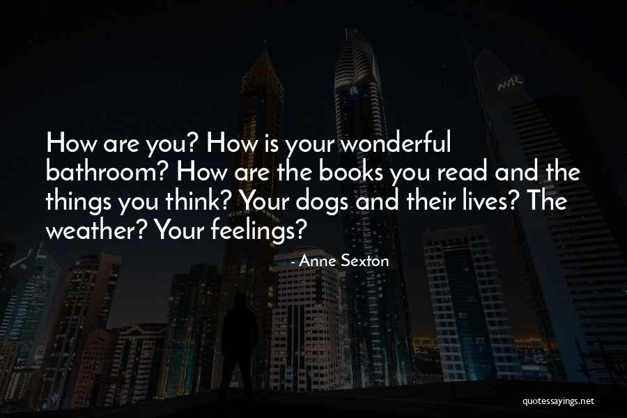 Indirecto Records Quotes By Anne Sexton Indirecto Records Quotes By Anne Sexton