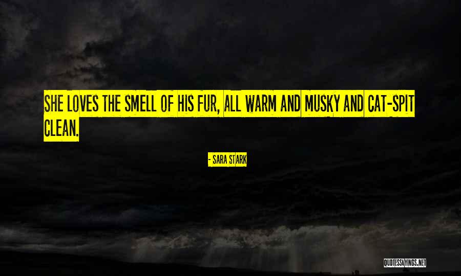 Indiscernible Synonym Quotes By Sara Stark Indiscernible Synonym Quotes By Sara Stark