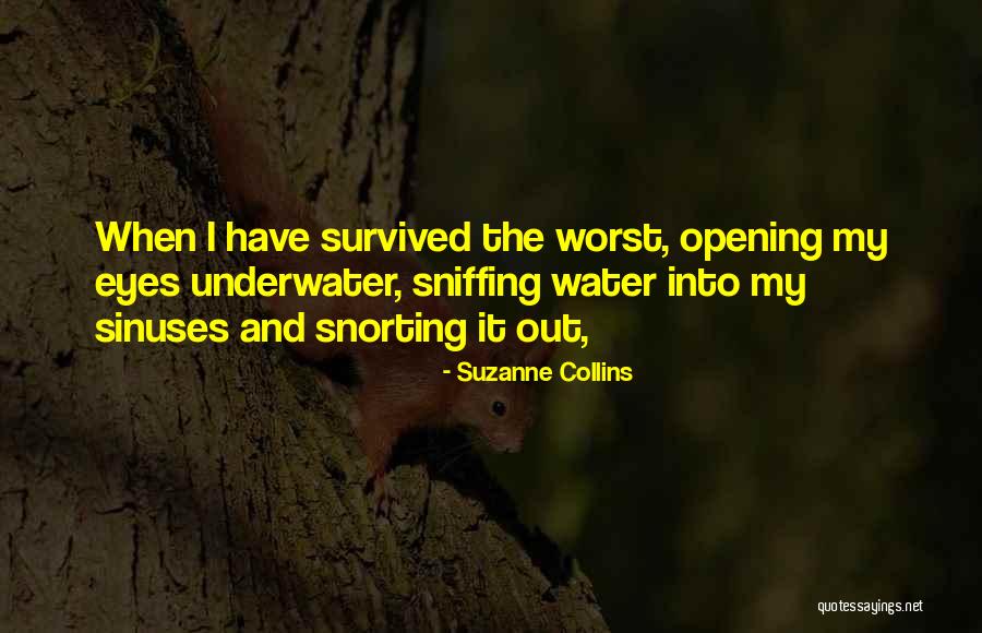 Indiscreet Film Quotes By Suzanne Collins Indiscreet Film Quotes By Suzanne Collins