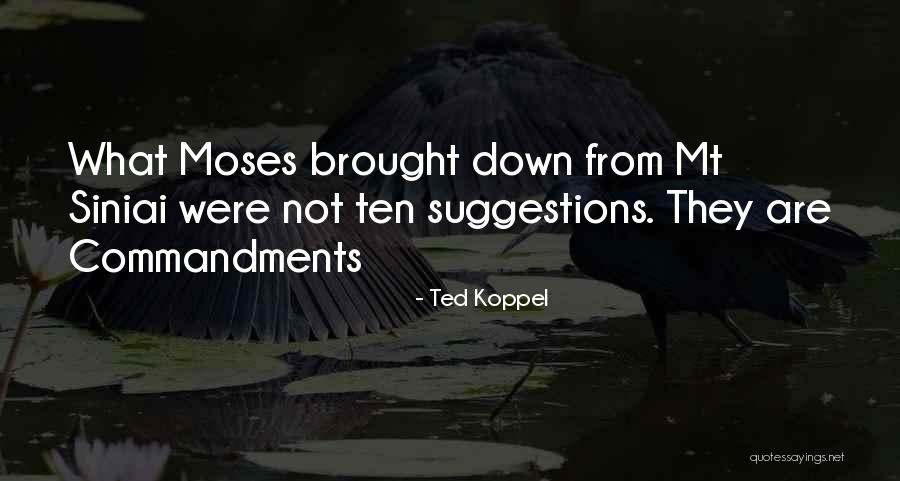 Indiscriminate Love Life Quotes By Ted Koppel