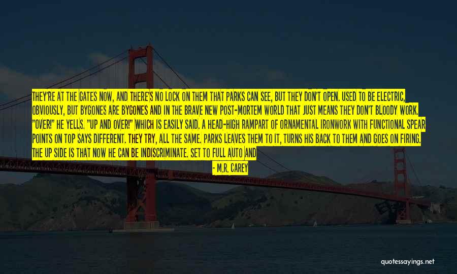 Indiscriminate Quotes By M.R. Carey Indiscriminate Quotes By M.R. Carey