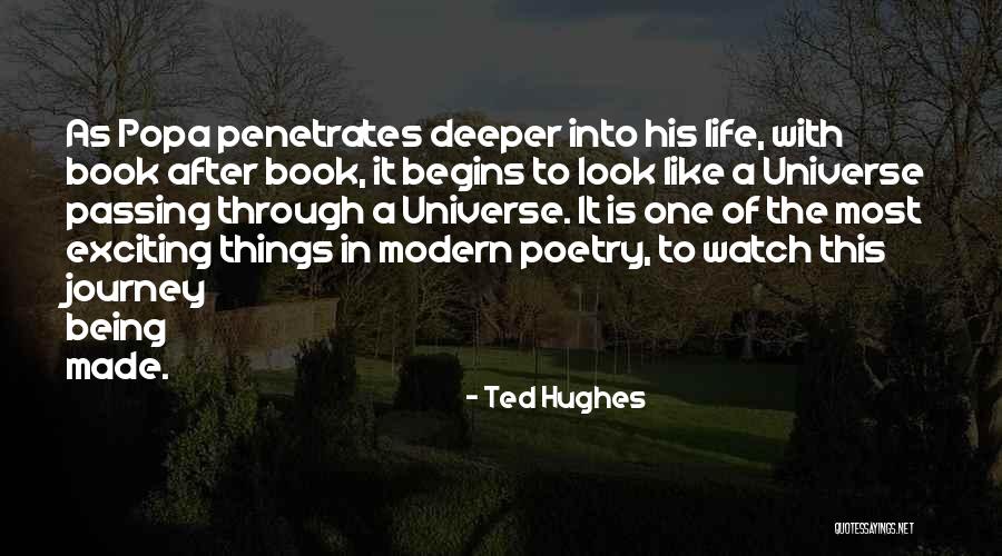 Indiscrimination Evaluation Quotes By Ted Hughes Indiscrimination Evaluation Quotes By Ted Hughes