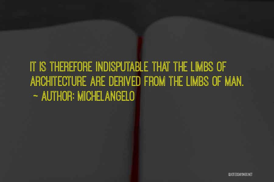 Indisputable Quotes By Michelangelo
