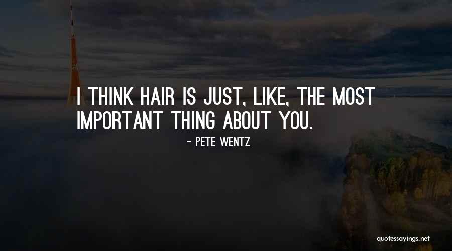 Indissolubly Meanign Quotes By Pete Wentz Indissolubly Meanign Quotes By Pete Wentz