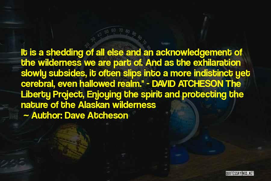 Indistinct Quotes By Dave Atcheson