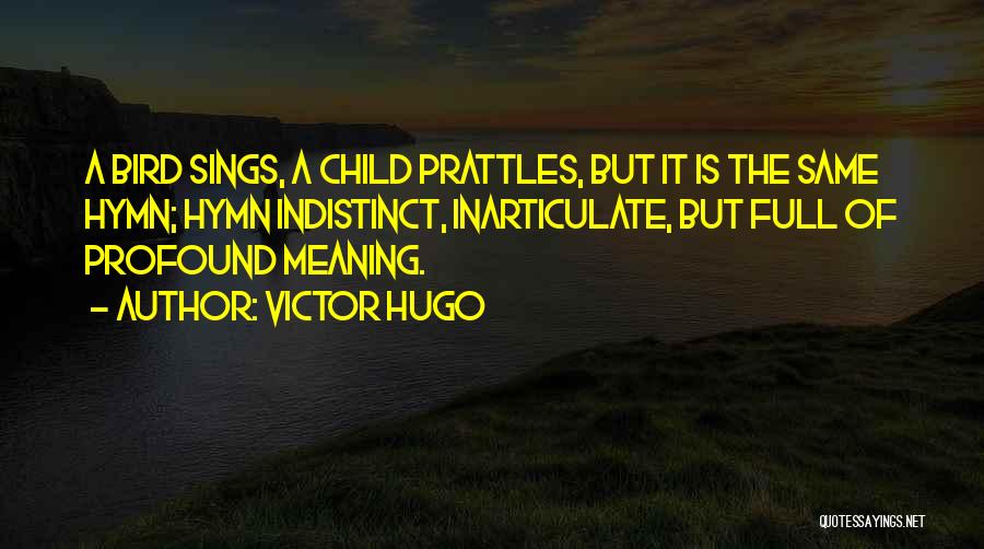 Indistinct Quotes By Victor Hugo