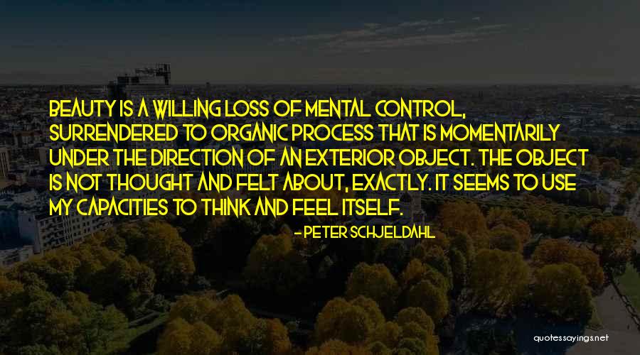 Indite Quotes By Peter Schjeldahl Indite Quotes By Peter Schjeldahl