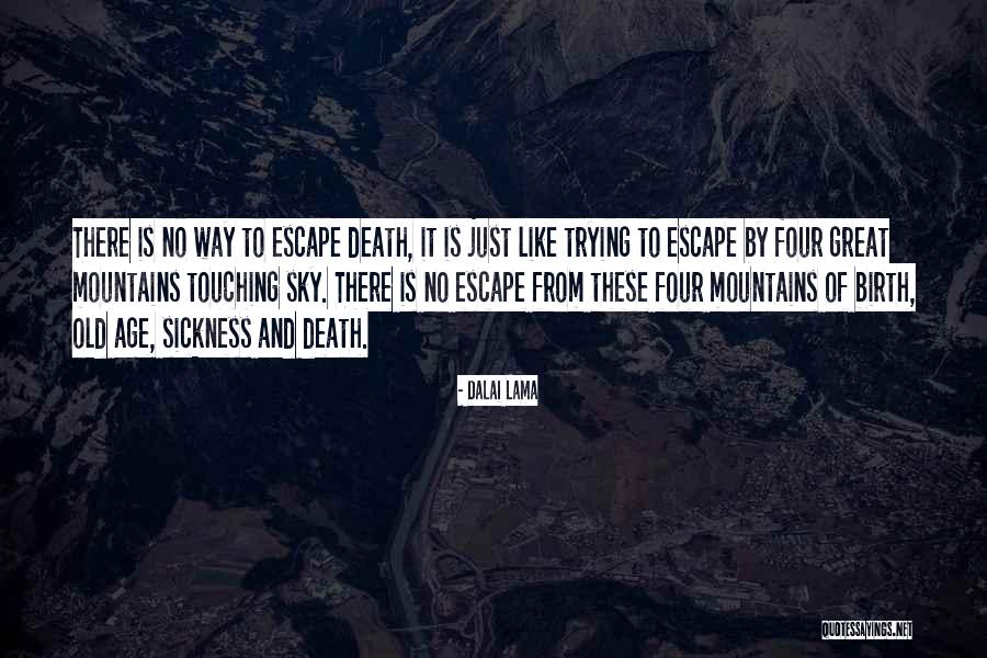 Individuais De Rede Quotes By Dalai Lama Individuais De Rede Quotes By Dalai Lama
