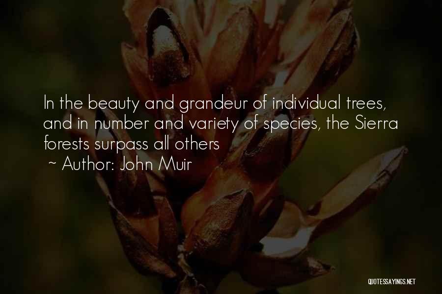 Individual Beauty Quotes By John Muir