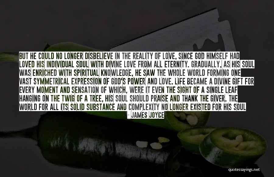 Individual Power Quotes By James Joyce Individual Power Quotes By James Joyce