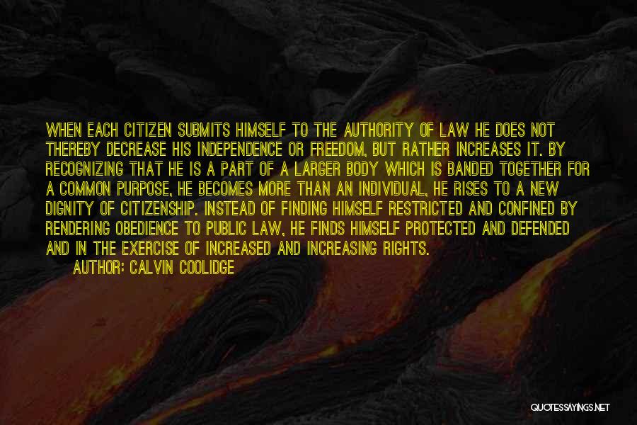 Individual Rights Quotes By Calvin Coolidge