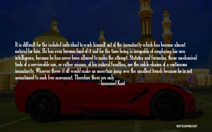 Individual Work Quotes By Immanuel Kant Individual Work Quotes By Immanuel Kant