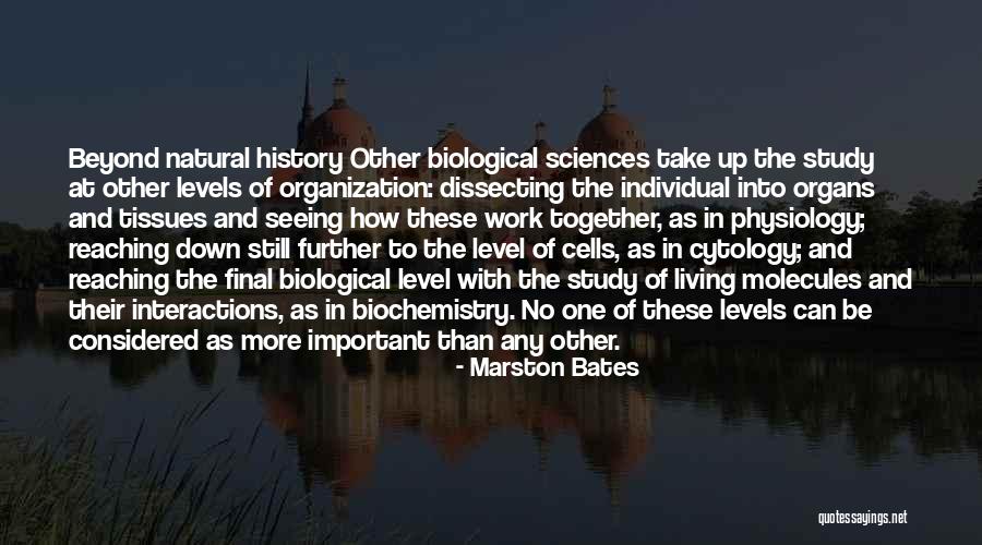 Individual Work Quotes By Marston Bates Individual Work Quotes By Marston Bates