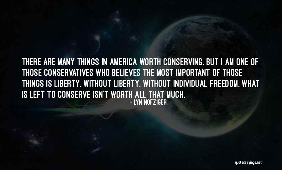 Individual Worth Quotes By Lyn Nofziger