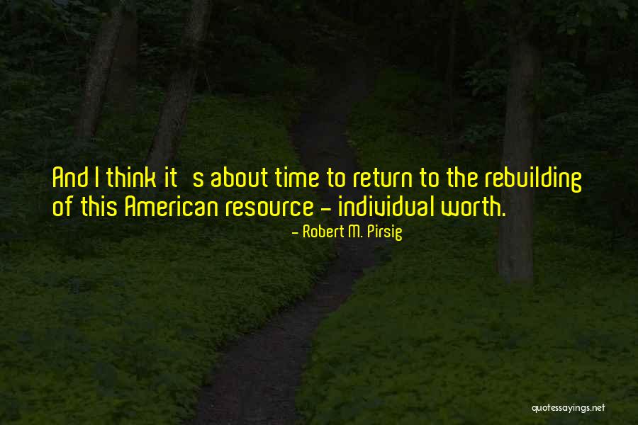 Individual Worth Quotes By Robert M. Pirsig