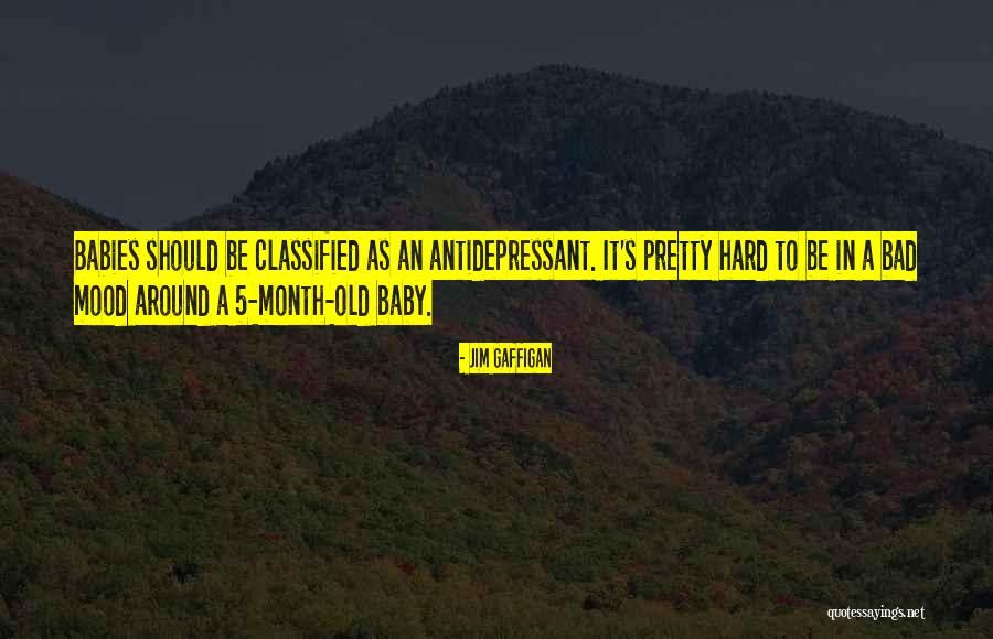 Individualidad Sagrada Quotes By Jim Gaffigan Individualidad Sagrada Quotes By Jim Gaffigan