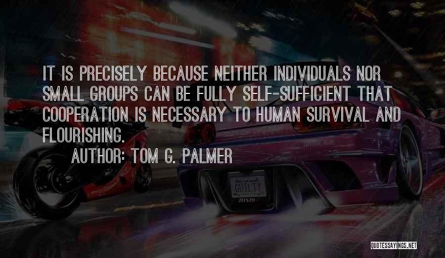Individuals And Groups Quotes By Tom G. Palmer