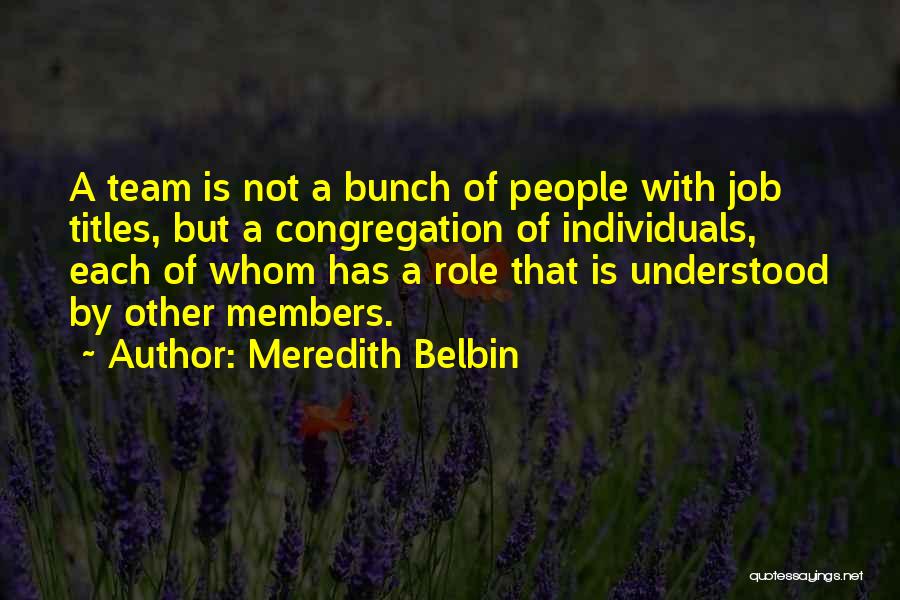 Individuals Vs Team Quotes By Meredith Belbin