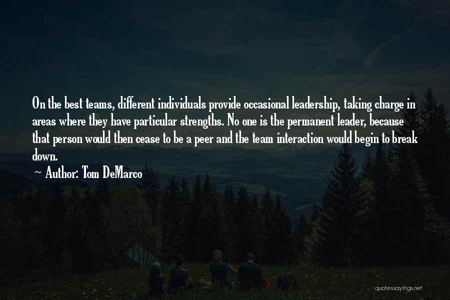 Individuals Vs Team Quotes By Tom DeMarco