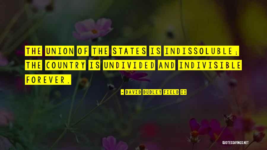 Indivisible Best Quotes By David Dudley Field II Indivisible Best Quotes By David Dudley Field II